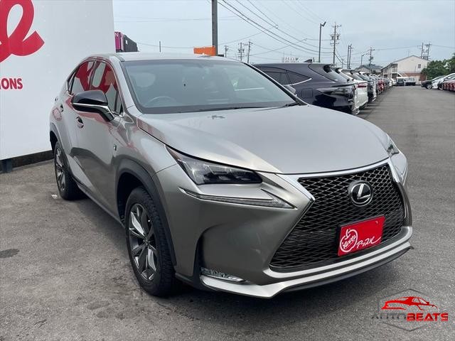 2015 LEXUS NX NX200T F SPORT (GRAY)